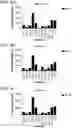 Fig. 13 - Probiotic compositions containing clostridiales for inhibiting inflammation