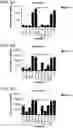 Fig. 14 - Probiotic compositions containing clostridiales for inhibiting inflammation
