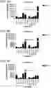 Fig. 15 - Probiotic compositions containing clostridiales for inhibiting inflammation