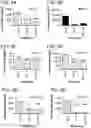 Fig. 32 - Probiotic compositions containing clostridiales for inhibiting inflammation