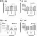 Fig. 34 - Probiotic compositions containing clostridiales for inhibiting inflammation
