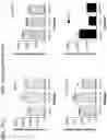 Fig. 40 - Probiotic compositions containing clostridiales for inhibiting inflammation