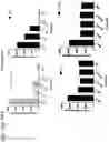 Fig. 42 - Probiotic compositions containing clostridiales for inhibiting inflammation