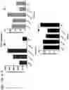 Fig. 53 - Probiotic compositions containing clostridiales for inhibiting inflammation