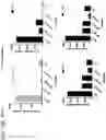 Fig. 54 - Probiotic compositions containing clostridiales for inhibiting inflammation