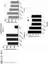 Fig. 61 - Probiotic compositions containing clostridiales for inhibiting inflammation
