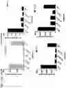 Fig. 64 - Probiotic compositions containing clostridiales for inhibiting inflammation
