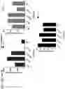 Fig. 69 - Probiotic compositions containing clostridiales for inhibiting inflammation