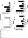 Fig. 70 - Probiotic compositions containing clostridiales for inhibiting inflammation