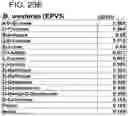 Fig. 79 - Probiotic compositions containing clostridiales for inhibiting inflammation