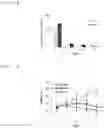 Fig. 08 - Strain having ability to inhibit obesity and pharmaceutical composition containing same