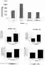 Fig. 10 - METHOD OF TREATING OVERWEIGHT OR OBESITY COMPRISING ADMINISTERING A PLEUROTUS OSTREATUS MUSHROOM EXTRACT OR A COMPOSITION COMPRISING A PLEUROTUS OSTRETUS MUSHROOM EXTRACT