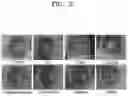 Fig. 03 - Method of treating dry eye syndrome using pharmaceutical composition having extract of or fraction thereof
