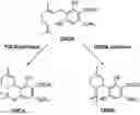 Fig. 01 - Synthetic cannabinoid compounds for treatment of substance addiction and other disorders