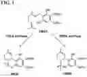 Fig. 02 - Synthetic cannabinoid compounds for treatment of substance addiction and other disorders
