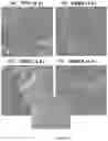 Fig. 11 - Composition for use in the treatment of intestinal alterations