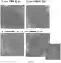 Fig. 12 - Composition for use in the treatment of intestinal alterations