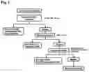 Fig. 02 - METHOD FOR PREPARING CURCUMA XANTHORRHIZA ROXB. EXTRACT