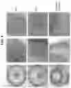 Fig. 12 - METHODS AND COMPOSITIONS FOR PREVENTING OR TREATING OPHTHALMIC CONDITIONS