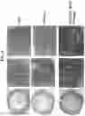 Fig. 13 - METHODS AND COMPOSITIONS FOR PREVENTING OR TREATING OPHTHALMIC CONDITIONS