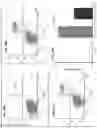 Fig. 41 - METHODS AND COMPOSITIONS FOR PREVENTING OR TREATING OPHTHALMIC CONDITIONS