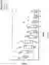 Fig. 10 - METHODS FOR TREATING AUTISM SPECTRUM DISORDER AND ASSOCIATED SYMPTOMS