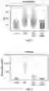 Fig. 04 - COMPOSITIONS AND METHODS FOR TREATING HEART FAILURE