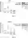 Fig. 09 - COMPOSITIONS AND METHODS FOR TREATING HEART FAILURE