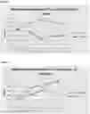 Fig. 02 - METHOD OF INDUCING SELECTIVE PROSTATE GLANDULAR PHARMACO-ABLATION WITH SPARING OF NERVES AND PRESERVATION OF SEXUAL FUNCTION