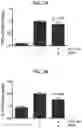 Fig. 03 - Proteins for the treatment of epithelial barrier function disorders
