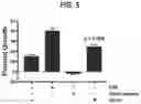 Fig. 06 - Proteins for the treatment of epithelial barrier function disorders
