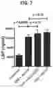 Fig. 08 - Proteins for the treatment of epithelial barrier function disorders