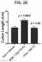 Fig. 11 - Proteins for the treatment of epithelial barrier function disorders