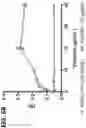 Fig. 08 - Use of vimentin in the modulation of acute inflammation and thrombosis