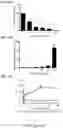 Fig. 18 - Use of vimentin in the modulation of acute inflammation and thrombosis