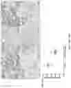 Fig. 19 - Use of vimentin in the modulation of acute inflammation and thrombosis