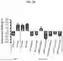 Fig. 20 - COMPOSITIONS AND METHODS FOR TREATING LYNX2 DISORDERS