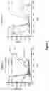 Fig. 08 - Neuroprotective agents derived from spider venom peptides