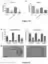 Fig. 15 - Neuroprotective agents derived from spider venom peptides