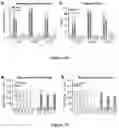 Fig. 16 - Neuroprotective agents derived from spider venom peptides