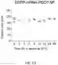 Fig. 04 - Restoration of tumor suppression using MRNA-based delivery system