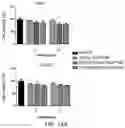 Fig. 32 - Restoration of tumor suppression using MRNA-based delivery system