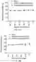 Fig. 43 - Restoration of tumor suppression using MRNA-based delivery system