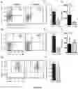 Fig. 07 - METHODS AND COMPOSITIONS FOR MODULATING THE IMMUNE SYSTEM WITH ARGINASE I