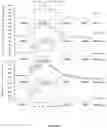 Fig. 22 - METHODS AND COMPOSITIONS FOR MODULATING THE IMMUNE SYSTEM WITH ARGINASE I