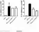 Fig. 24 - METHODS AND COMPOSITIONS FOR MODULATING THE IMMUNE SYSTEM WITH ARGINASE I