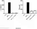 Fig. 25 - METHODS AND COMPOSITIONS FOR MODULATING THE IMMUNE SYSTEM WITH ARGINASE I