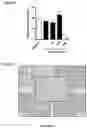 Fig. 30 - METHODS AND COMPOSITIONS FOR MODULATING THE IMMUNE SYSTEM WITH ARGINASE I