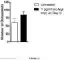 Fig. 32 - METHODS AND COMPOSITIONS FOR MODULATING THE IMMUNE SYSTEM WITH ARGINASE I