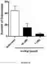 Fig. 33 - METHODS AND COMPOSITIONS FOR MODULATING THE IMMUNE SYSTEM WITH ARGINASE I